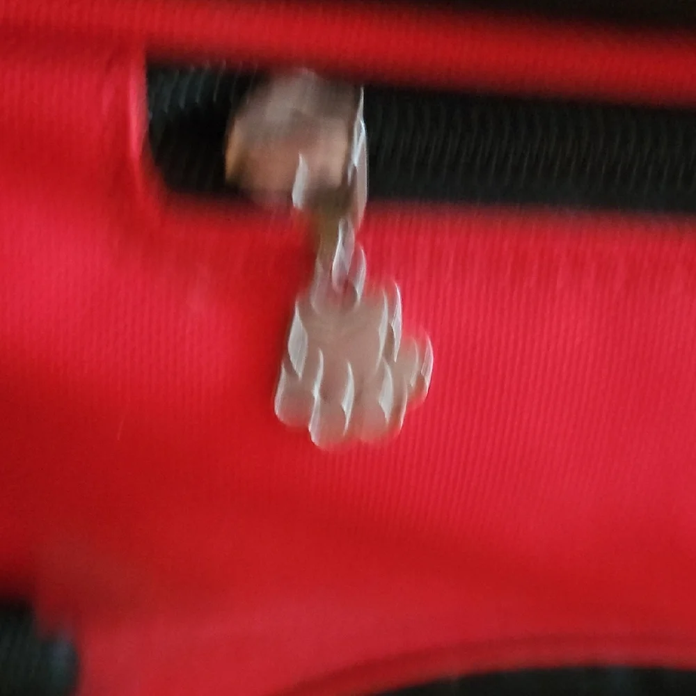 Red Pet Carrier with Black Accents